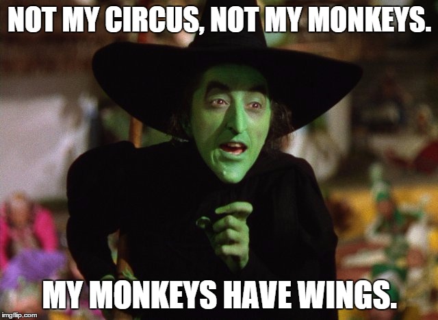 WickedWitch | NOT MY CIRCUS, NOT MY MONKEYS. MY MONKEYS HAVE WINGS. | image tagged in wickedwitch | made w/ Imgflip meme maker