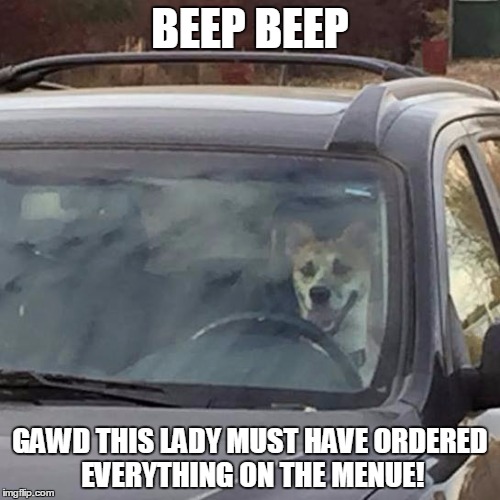 beep beep | BEEP BEEP GAWD THIS LADY MUST HAVE ORDERED EVERYTHING ON THE MENUE! | image tagged in bad pun dog | made w/ Imgflip meme maker