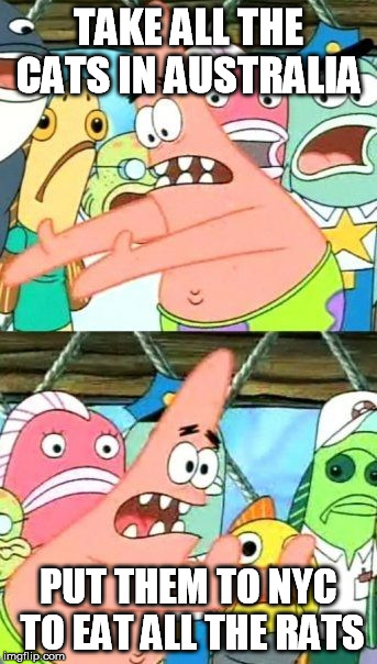 Put It Somewhere Else Patrick | TAKE ALL THE CATS IN AUSTRALIA PUT THEM TO NYC TO EAT ALL THE RATS | image tagged in memes,put it somewhere else patrick | made w/ Imgflip meme maker