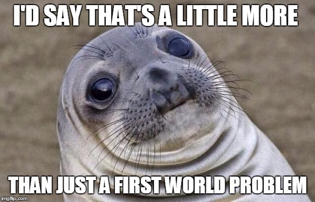 Awkward Moment Sealion Meme | I'D SAY THAT'S A LITTLE MORE THAN JUST A FIRST WORLD PROBLEM | image tagged in memes,awkward moment sealion | made w/ Imgflip meme maker
