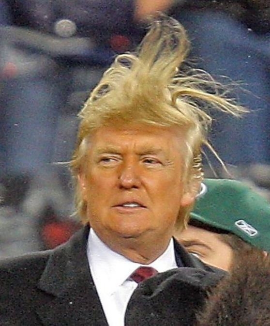 trump hair Blank Meme Template