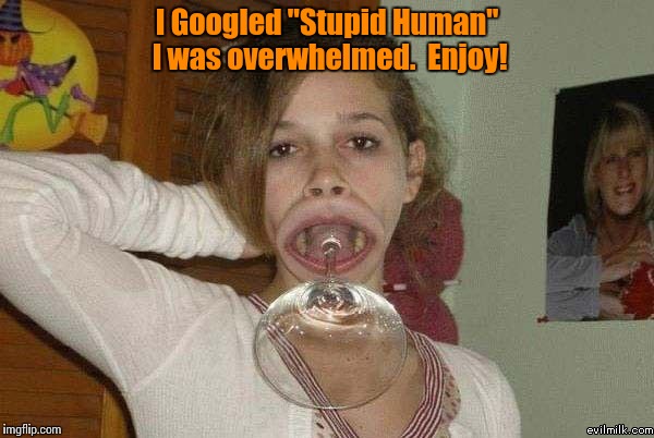 Stupid is stupid does.  That's her mom in the background before she dropped her. | I Googled "Stupid Human" I was overwhelmed.  Enjoy! | image tagged in martini glass girl,memes,funny memes | made w/ Imgflip meme maker