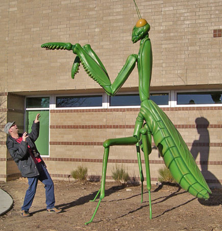 Giant praying mantis attack Blank Meme Template