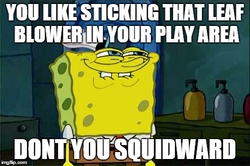 Don't You Squidward Meme | YOU LIKE STICKING THAT LEAF BLOWER IN YOUR PLAY AREA DONT YOU SQUIDWARD | image tagged in memes,dont you squidward | made w/ Imgflip meme maker