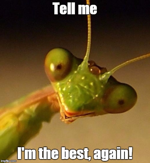 over attached mantis | Tell me I'm the best, again! | image tagged in over attached mantis | made w/ Imgflip meme maker