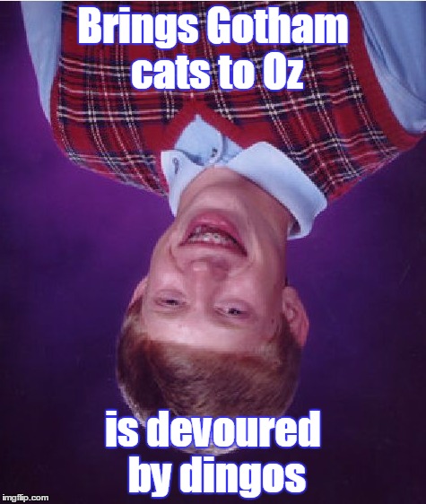Bad Luck Brian Meme | Brings Gotham cats to Oz is devoured by dingos | image tagged in memes,bad luck brian | made w/ Imgflip meme maker