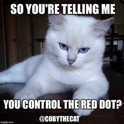 @COBYTHECAT YOU CONTROL THE RED DOT? SO YOU'RE TELLING ME | made w/ Imgflip meme maker