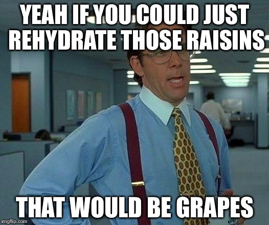 PUN | YEAH IF YOU COULD JUST REHYDRATE THOSE RAISINS THAT WOULD BE GRAPES | image tagged in memes,that would be great | made w/ Imgflip meme maker