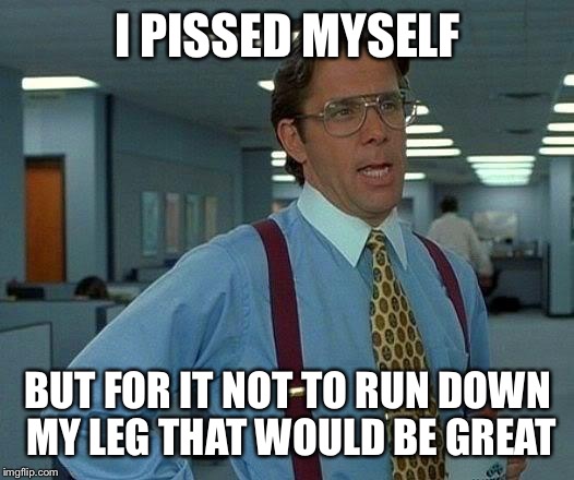 That Would Be Great | I PISSED MYSELF BUT FOR IT NOT TO RUN DOWN MY LEG THAT WOULD BE GREAT | image tagged in memes,that would be great | made w/ Imgflip meme maker