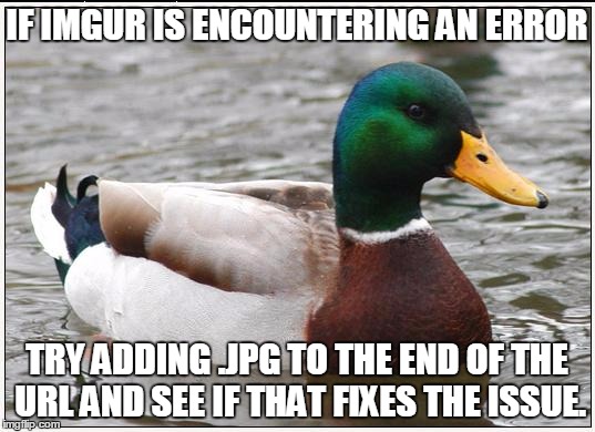 Actual Advice Mallard Meme | IF IMGUR IS ENCOUNTERING AN ERROR TRY ADDING .JPG TO THE END OF THE URL AND SEE IF THAT FIXES THE ISSUE. | image tagged in memes,actual advice mallard,AdviceAnimals | made w/ Imgflip meme maker