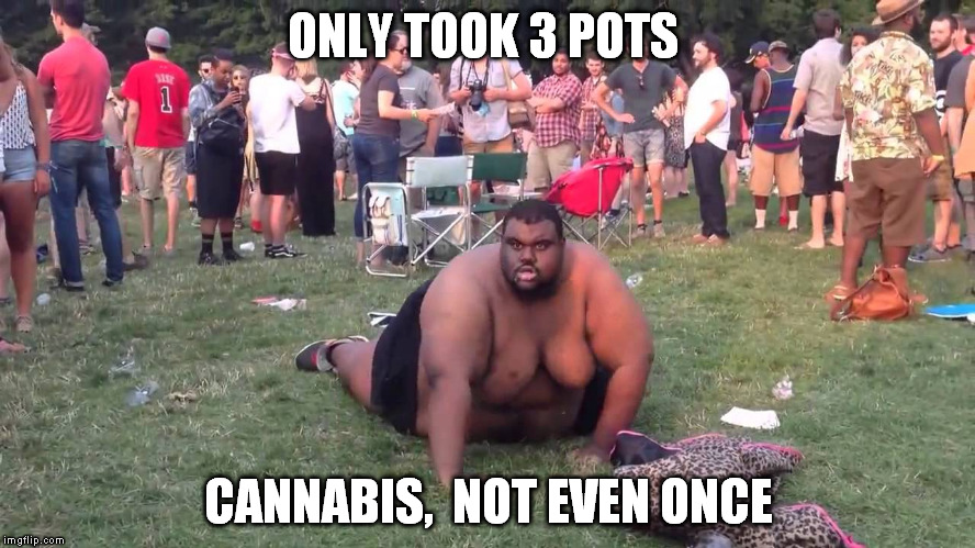 ONLY TOOK 3 POTS CANNABIS,  NOT EVEN ONCE | image tagged in not even once | made w/ Imgflip meme maker