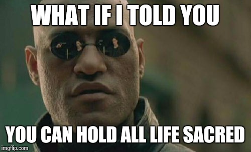 Matrix Morpheus | WHAT IF I TOLD YOU YOU CAN HOLD ALL LIFE SACRED | image tagged in memes,matrix morpheus | made w/ Imgflip meme maker