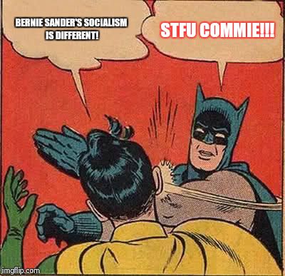 Batman Slapping Robin Meme | BERNIE SANDER'S SOCIALISM IS DIFFERENT! STFU COMMIE!!! | image tagged in memes,batman slapping robin | made w/ Imgflip meme maker
