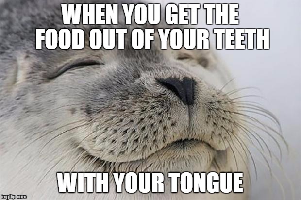 Satisfied Seal | WHEN YOU GET THE FOOD OUT OF YOUR TEETH WITH YOUR TONGUE | image tagged in memes,satisfied seal | made w/ Imgflip meme maker