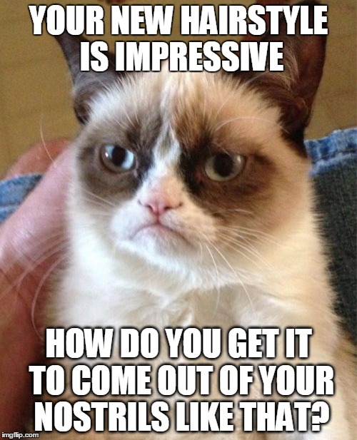 Grumpy Cat | YOUR NEW HAIRSTYLE IS IMPRESSIVE HOW DO YOU GET IT TO COME OUT OF YOUR NOSTRILS LIKE THAT? | image tagged in memes,grumpy cat,nostril,hairstyle,nose hair,insult | made w/ Imgflip meme maker