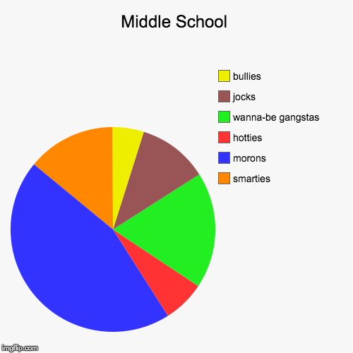 image tagged in funny,pie charts | made w/ Imgflip chart maker