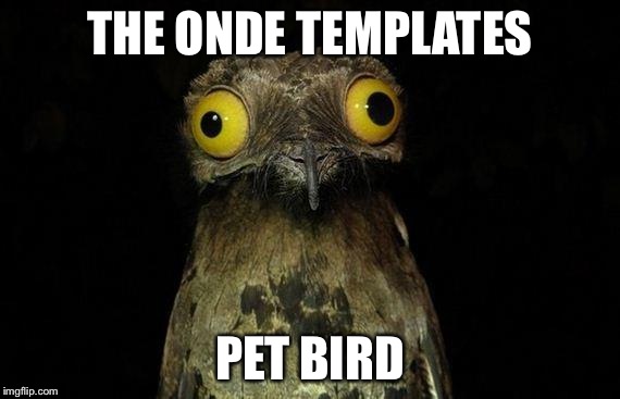 Weird Stuff I Do Potoo | THE ONDE TEMPLATES PET BIRD | image tagged in memes,weird stuff i do potoo | made w/ Imgflip meme maker