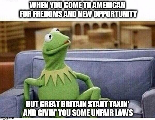 KERMIT | WHEN YOU COME TO AMERICAN FOR FREDOMS AND NEW OPPORTUNITY BUT GREAT BRITAIN START TAXIN' AND GIVIN' YOU SOME UNFAIR LAWS | image tagged in kermit | made w/ Imgflip meme maker