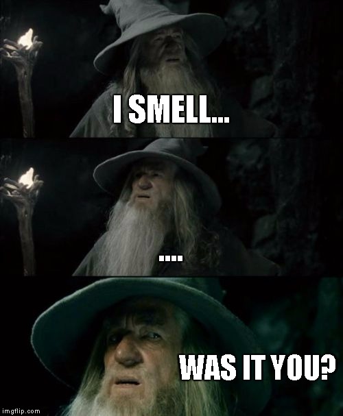 Confused Gandalf Meme | I SMELL... .... WAS IT YOU? | image tagged in memes,confused gandalf | made w/ Imgflip meme maker