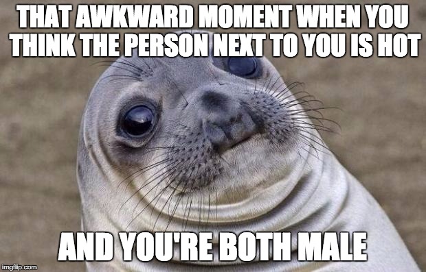 Awkward Moment Sealion | THAT AWKWARD MOMENT WHEN YOU THINK THE PERSON NEXT TO YOU IS HOT AND YOU'RE BOTH MALE | image tagged in memes,awkward moment sealion | made w/ Imgflip meme maker