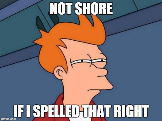 Futurama Fry | NOT SHORE IF I SPELLED THAT RIGHT | image tagged in memes,futurama fry | made w/ Imgflip meme maker