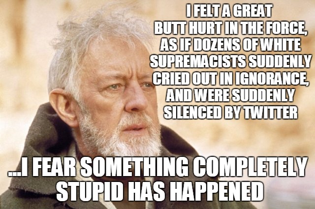 obi wan kenobi reacts to #boycottstarwarsvii | I FELT A GREAT BUTT HURT IN THE FORCE, AS IF DOZENS OF WHITE SUPREMACISTS SUDDENLY CRIED OUT IN IGNORANCE, AND WERE SUDDENLY SILENCED BY TWI | image tagged in obi wan kenobi,boycottstarwarsvii,sjw,star wars vii,boycott,white | made w/ Imgflip meme maker