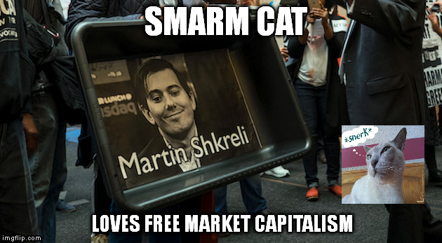 SMARM CAT LOVES FREE MARKET CAPITALISM | image tagged in martin shkreli | made w/ Imgflip meme maker