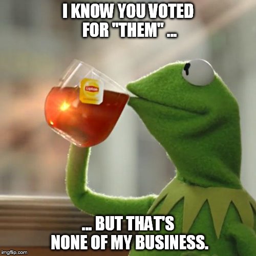 But That's None Of My Business Meme | I KNOW YOU VOTED FOR "THEM" ... ... BUT THAT'S NONE OF MY BUSINESS. | image tagged in memes,but thats none of my business,kermit the frog | made w/ Imgflip meme maker