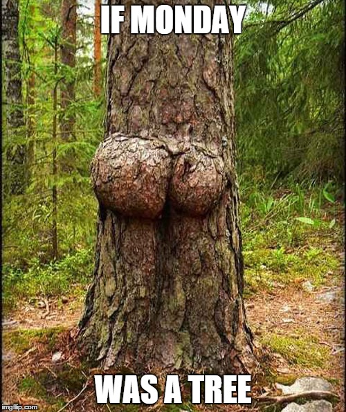 a$$ Tree | IF MONDAY WAS A TREE | image tagged in ass,happy tree friends | made w/ Imgflip meme maker