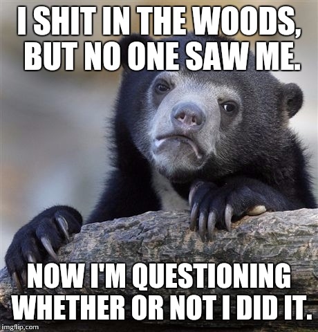 Confession Bear | I SHIT IN THE WOODS, BUT NO ONE SAW ME. NOW I'M QUESTIONING WHETHER OR NOT I DID IT. | image tagged in memes,confession bear | made w/ Imgflip meme maker