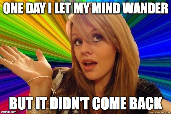 Dumb Blonde Meme | ONE DAY I LET MY MIND WANDER BUT IT DIDN'T COME BACK | image tagged in blonde bitch meme | made w/ Imgflip meme maker