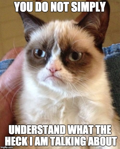 Grumpy Cat Meme | YOU DO NOT SIMPLY UNDERSTAND WHAT THE HECK I AM TALKING ABOUT | image tagged in memes,grumpy cat | made w/ Imgflip meme maker