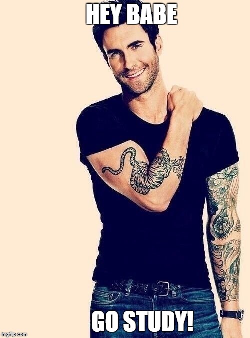 HEY BABE GO STUDY! | image tagged in adam levine,study,studying,memes | made w/ Imgflip meme maker