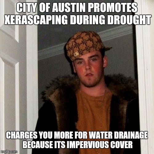 Scumbag Steve Meme | CITY OF AUSTIN PROMOTES XERASCAPING DURING DROUGHT CHARGES YOU MORE FOR WATER DRAINAGE BECAUSE ITS IMPERVIOUS COVER | image tagged in memes,scumbag steve | made w/ Imgflip meme maker