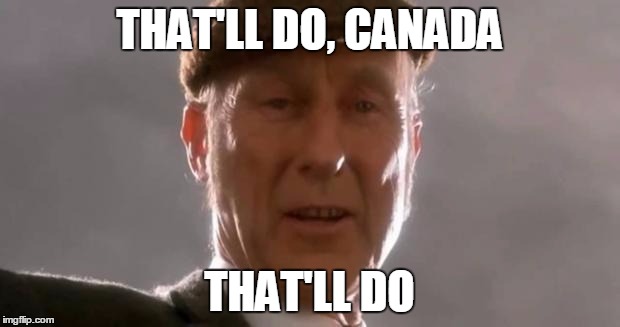 That'll do pig | THAT'LL DO, CANADA THAT'LL DO | image tagged in that'll do pig | made w/ Imgflip meme maker