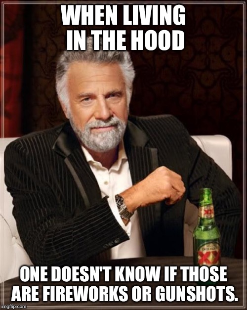 The Most Interesting Man In The World Meme | WHEN LIVING IN THE HOOD ONE DOESN'T KNOW IF THOSE ARE FIREWORKS OR GUNSHOTS. | image tagged in memes,the most interesting man in the world | made w/ Imgflip meme maker