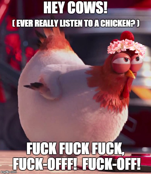 evil chicken | HEY COWS! F**K F**K F**K, F**K-OFFF!  F**K-OFF! ( EVER REALLY LISTEN TO A CHICKEN? ) | image tagged in evil chicken | made w/ Imgflip meme maker
