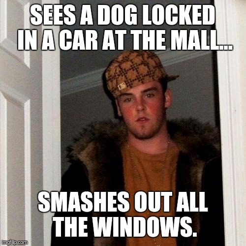 Scumbag Steve Meme | SEES A DOG LOCKED IN A CAR AT THE MALL... SMASHES OUT ALL THE WINDOWS. | image tagged in memes,scumbag steve | made w/ Imgflip meme maker