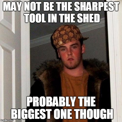 Scumbag Steve Meme | MAY NOT BE THE SHARPEST TOOL IN THE SHED PROBABLY THE BIGGEST ONE THOUGH | image tagged in memes,scumbag steve | made w/ Imgflip meme maker
