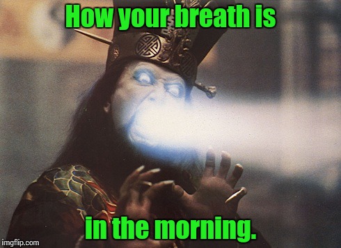 Yea, you know what I'm talking about........ | How your breath is in the morning. | image tagged in lo pan2,memes,funny memes,hilarious | made w/ Imgflip meme maker