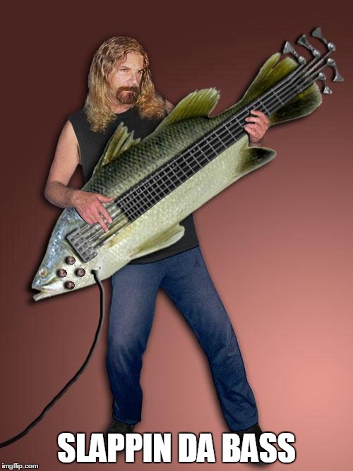 Fish Guitar | SLAPPIN DA BASS | image tagged in fish guitar | made w/ Imgflip meme maker