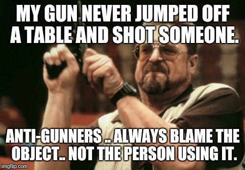 Am I The Only One Around Here Meme | MY GUN NEVER JUMPED OFF A TABLE AND SHOT SOMEONE. ANTI-GUNNERS .. ALWAYS BLAME THE OBJECT.. NOT THE PERSON USING IT. | image tagged in memes,am i the only one around here | made w/ Imgflip meme maker