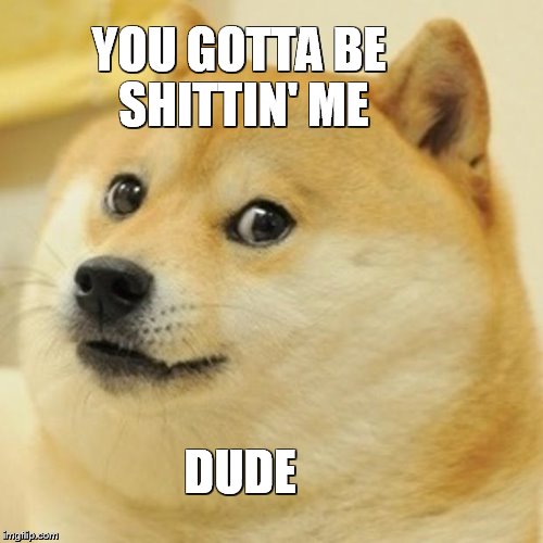 Doge | YOU GOTTA BE SHITTIN' ME DUDE | image tagged in memes,doge | made w/ Imgflip meme maker