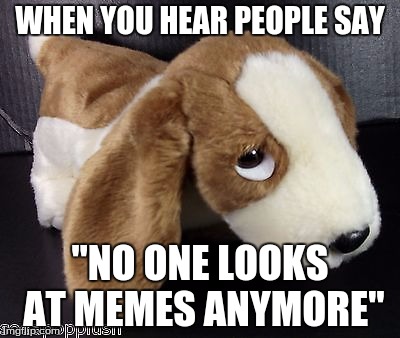 WHEN YOU HEAR PEOPLE SAY "NO ONE LOOKS AT MEMES ANYMORE" | image tagged in meme | made w/ Imgflip meme maker