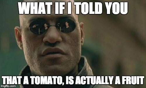 Matrix Morpheus Meme | WHAT IF I TOLD YOU THAT A TOMATO, IS ACTUALLY A FRUIT | image tagged in memes,matrix morpheus | made w/ Imgflip meme maker