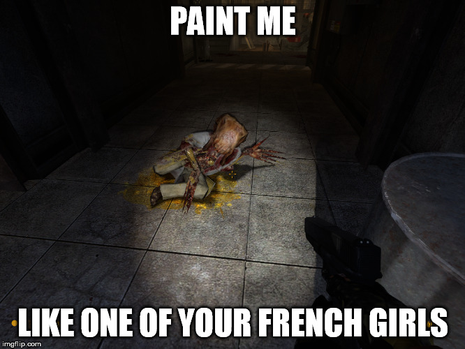 Paint me like one of your French girls | PAINT ME LIKE ONE OF YOUR FRENCH GIRLS | image tagged in half-life,paint me like one of your french girls | made w/ Imgflip meme maker