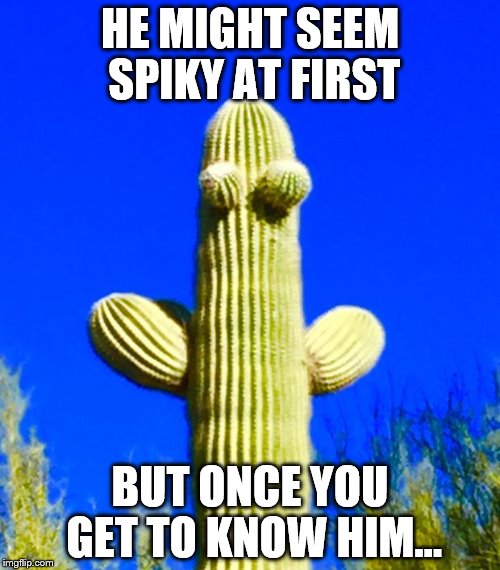 Huggy Cactus  | HE MIGHT SEEM SPIKY AT FIRST BUT ONCE YOU GET TO KNOW HIM... | image tagged in huggy cactus  | made w/ Imgflip meme maker
