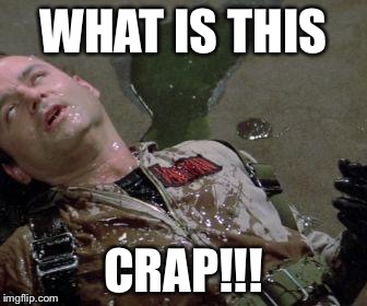 Ghostbusters Slimed | WHAT IS THIS CRAP!!! | image tagged in ghostbusters slimed | made w/ Imgflip meme maker