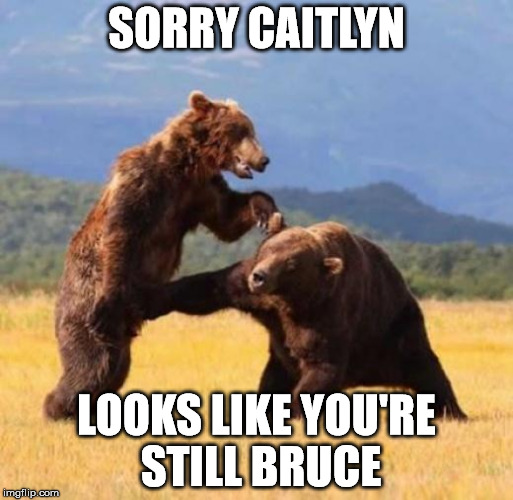 Junk Present and Accounted For, Sir | SORRY CAITLYN LOOKS LIKE YOU'RE STILL BRUCE | image tagged in bear punch | made w/ Imgflip meme maker