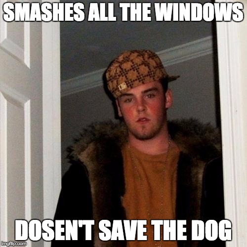 Scumbag Steve Meme | SMASHES ALL THE WINDOWS DOSEN'T SAVE THE DOG | image tagged in memes,scumbag steve | made w/ Imgflip meme maker